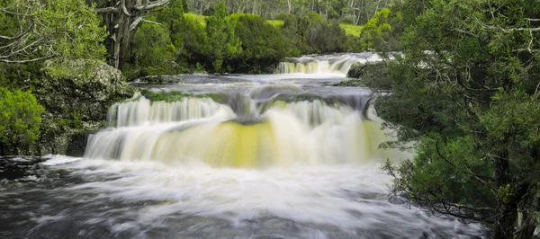 Cradle Mountain şelale — Stok fotoğraf