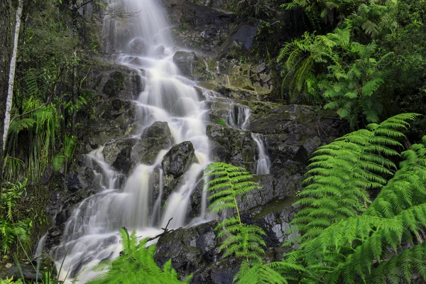 Cascada en Cuna Montaña —  Fotos de Stock