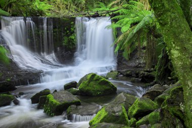 Horseshoe Falls Mount alan Milli Parkı'nda.