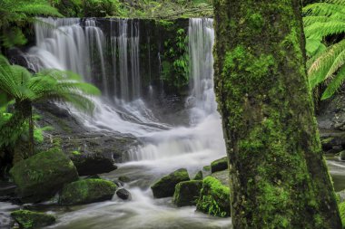 Horseshoe Falls Mount alan Milli Parkı'nda