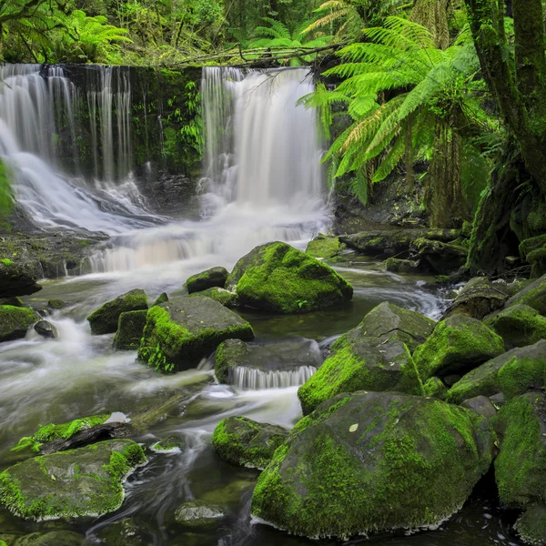 Horseshoe Falls Mount alan Milli Parkı'nda. — Stok fotoğraf