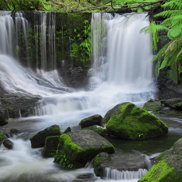 Cataratas de herradura en el Parque Nacional Mount Field . — Foto de Stock