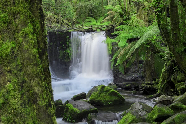 Horseshoe Falls Mount alan Milli Parkı'nda — Stok fotoğraf