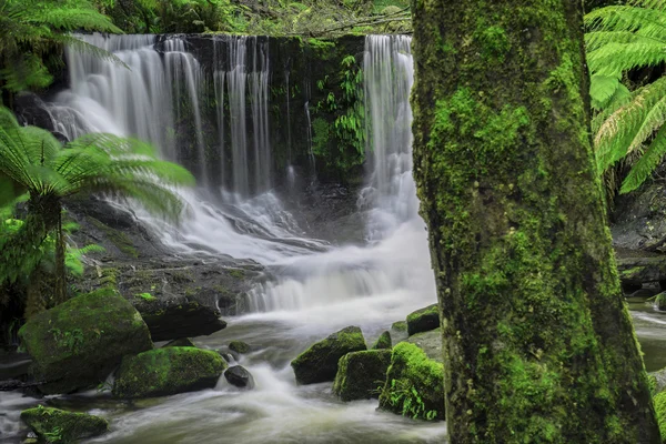Водоспад "підкова" в галузі національного парку гори — стокове фото