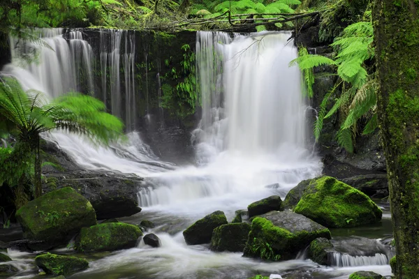 Horseshoe Falls Mount alan Milli Parkı'nda — Stok fotoğraf