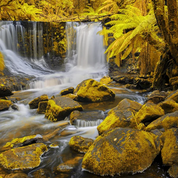 Horseshoe Falls Mount alan Milli Parkı'nda. — Stok fotoğraf
