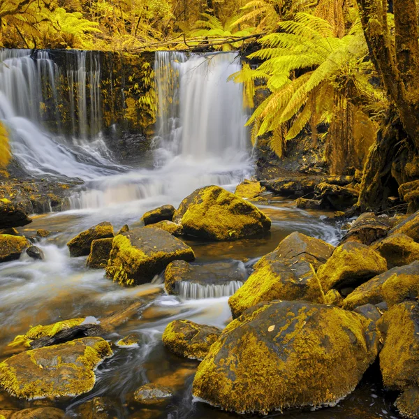 Patkó-vízesésre Mount mező Nemzeti Park. — Stock Fotó