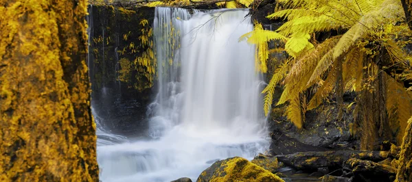 Horseshoe Falls in het Nationaal Park Mount veld. — Stockfoto