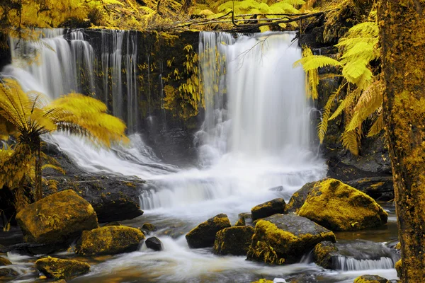 Horseshoe Falls in Mount Field National Park — Stock Photo, Image