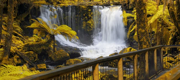 Chutes Horseshoe dans le parc national du Mont-Field . — Photo