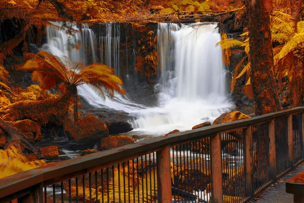 Horseshoe Falls in het Nationaal Park Mount veld. — Stockfoto
