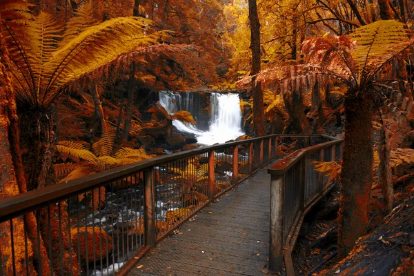 Horseshoe Falls Mount alan Milli Parkı'nda. — Stok fotoğraf