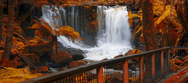 Chutes Horseshoe dans le parc national du Mont-Field . — Photo