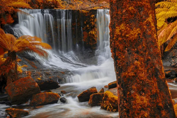 Horseshoe Falls Mount alan Milli Parkı'nda — Stok fotoğraf