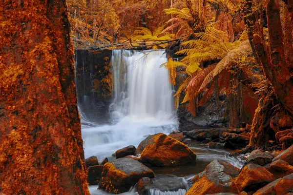 Cataratas de herradura en el Parque Nacional Mount Field — Foto de Stock