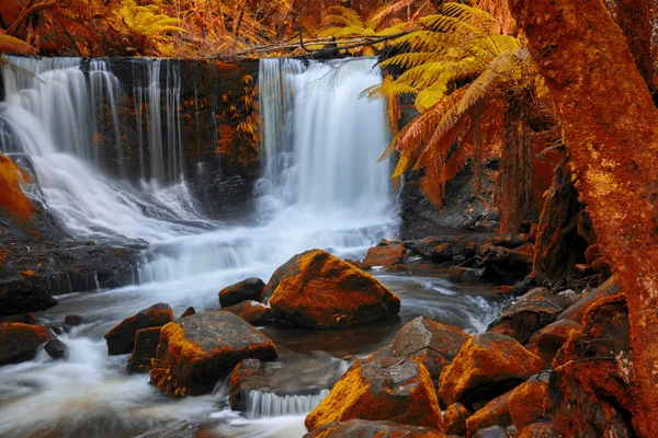Horseshoe Falls Mount alan Milli Parkı'nda. — Stok fotoğraf