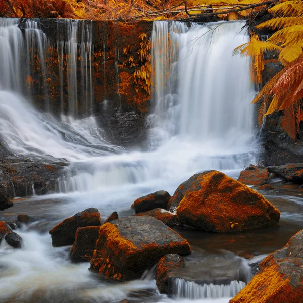 Chutes Horseshoe dans le parc national du Mont-Field . — Photo