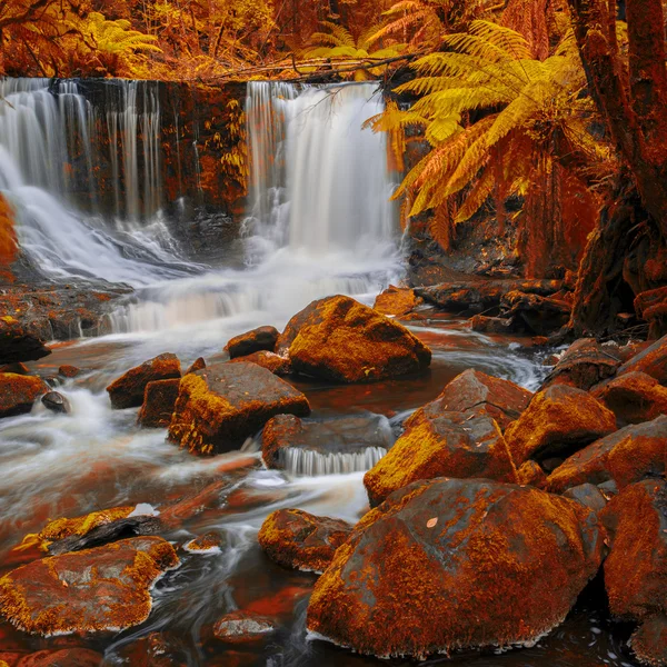 Horseshoe Falls in Mount Field National Park. — Stock Photo, Image