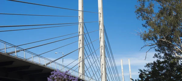 Utsikt över bron Eleanor Schonell — Stockfoto