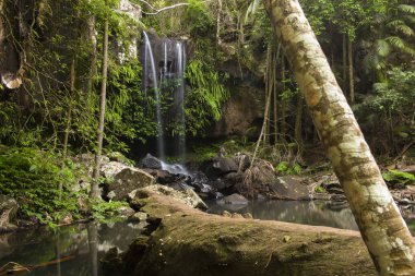 Mount tef Curtis Falls şelale