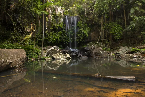 Cascada Curtis Falls en el Monte Tambourine — Foto de Stock