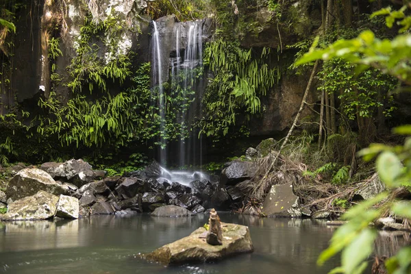 Mount tef Curtis Falls şelale