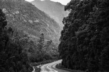 Yol ve Tazmanya kırsal dağlarda. Siyah ve beyaz