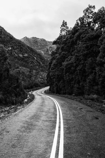 Silniční a hory v krajině Tasmanian. Černá a bílá — Stock fotografie