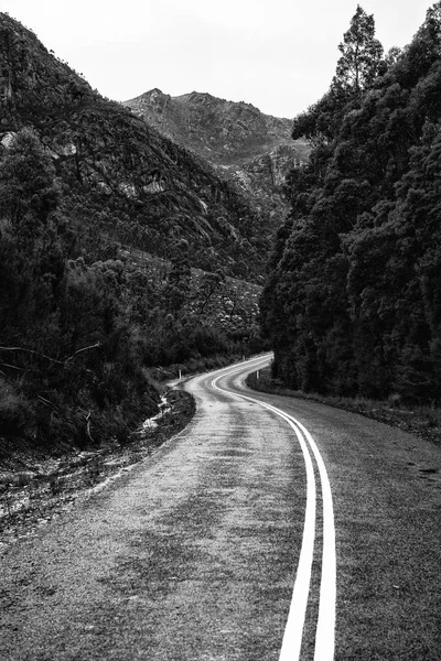 Silniční a hory v krajině Tasmanian. Černá a bílá — Stock fotografie