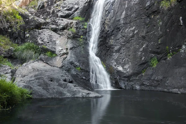 Cedar Creek Falls'ta dağ Tamborine