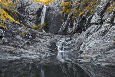 Cedar Creek Falls'ta dağ Tamborine