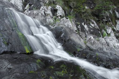 Cedar Creek Falls'ta dağ Tamborine