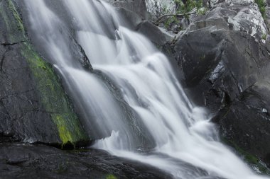 Cedar Creek Falls'ta dağ Tamborine