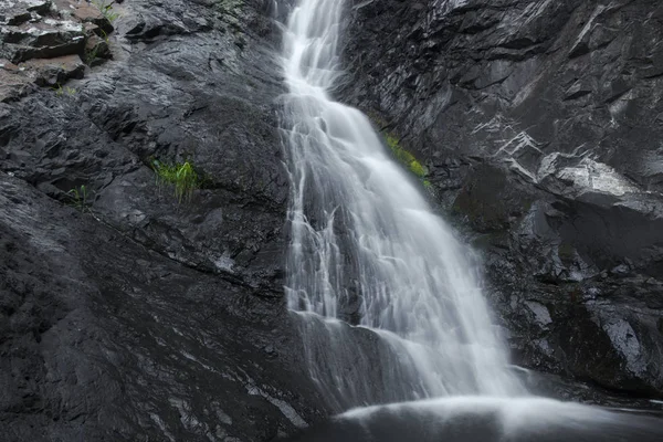 Cedar Creek Falls i Mount Tamborine — Stockfoto