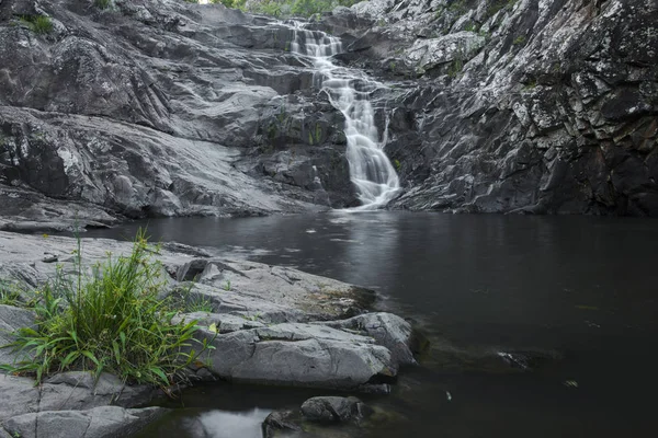 Chutes Cedar Creek à Mount Tamborine — Photo