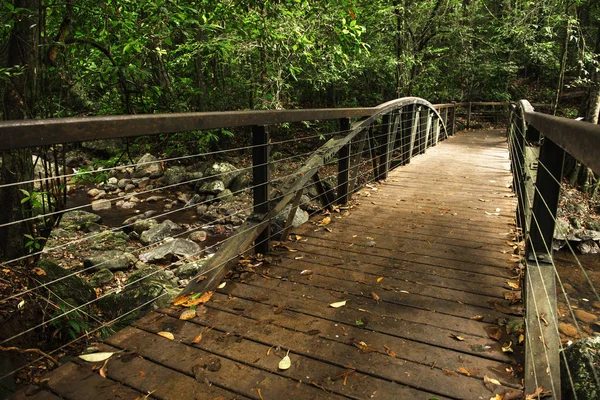 Natural Bridge Creek Stock Image