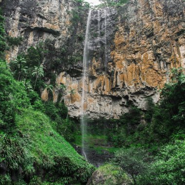 Bahar çayı Falls'ta Purlingbrook