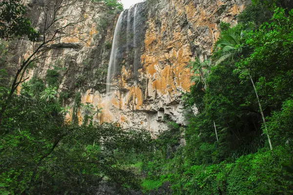 Purlingbrook Falls a Springbrook — Foto Stock