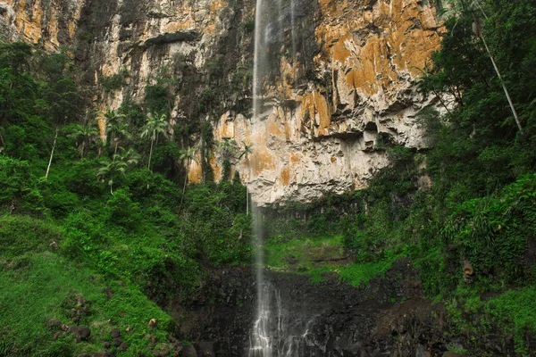 Πτώσεις Purlingbrook σε Springbrook — Φωτογραφία Αρχείου