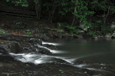 Maleny, Sunshine Coast Falls'ta gardners
