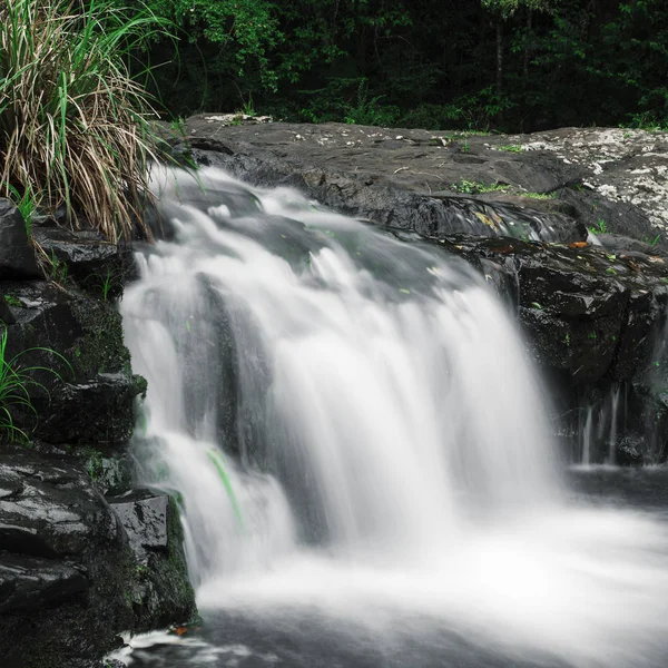 Gardners водоспад у Maleny, Сонячний берег — стокове фото