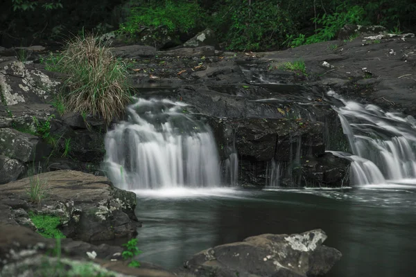 Gärtner fällt in maleny, Sonnenschein Küste — Stockfoto