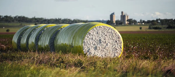Pacas de algodón en Oakey, Queensland —  Fotos de Stock