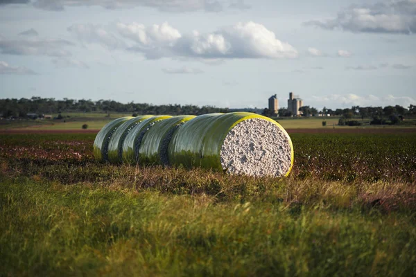 Pacas de algodón en Oakey, Queensland —  Fotos de Stock