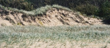 Moreton Adası bozulmamış beach. 