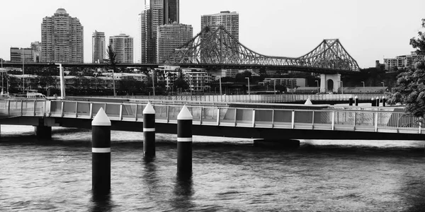 Story Bridge en Brisbane. Blanco y negro — Foto de Stock