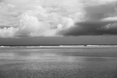 Tertemiz sahiliyle, North Point, Moreton Adası. Siyah ve Wh