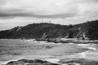 Tertemiz sahiliyle, North Point, Moreton Adası. Siyah ve Wh