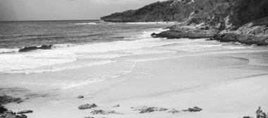 Tertemiz sahiliyle, North Point, Moreton Adası. Siyah ve Wh