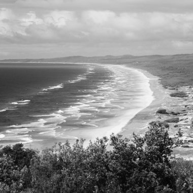 Tertemiz sahiliyle, North Point, Moreton Adası. Siyah ve Wh